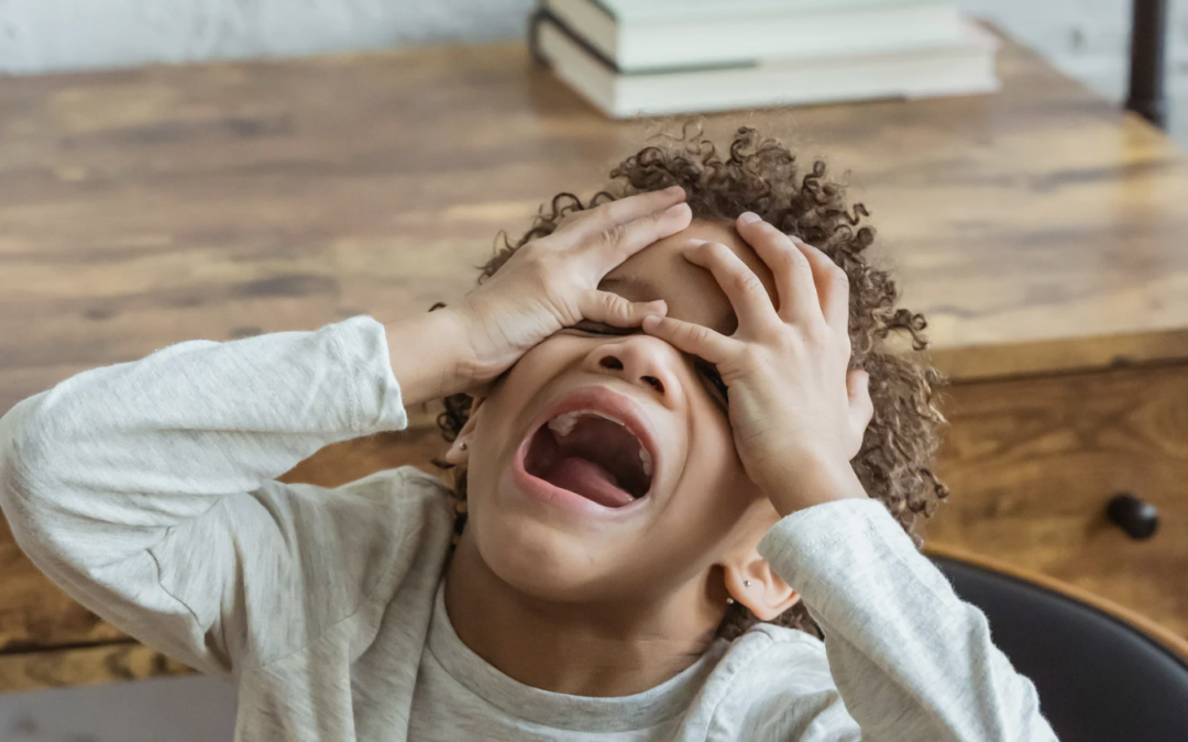 Dealing with Challenging Behaviors in Kids: A Gentle, Loving Approach